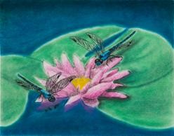 Dragonflies