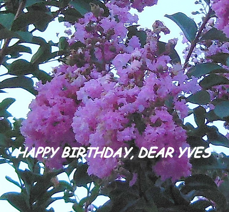 HAPPY BIRTHDAY, DEAR YVES !!!!!