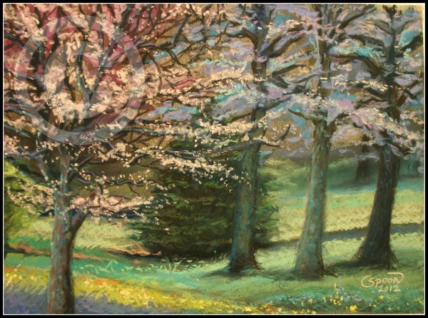 Spring Splendor