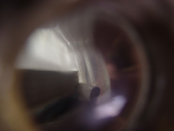 White Brothers Bighead - Interior 2