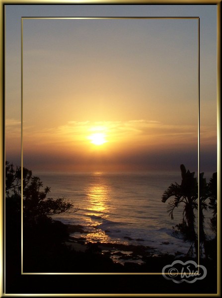 Golden morning