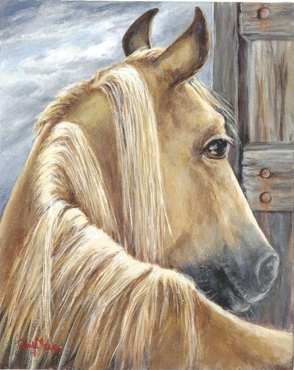palomino