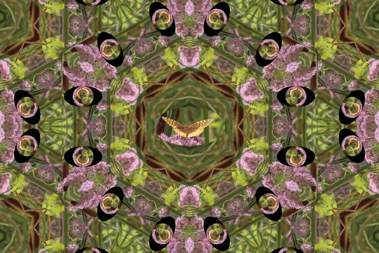 Butterfly kaleidoscope