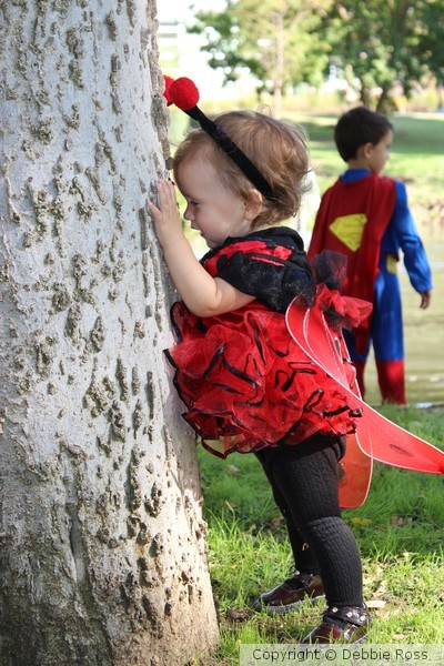 Lady Bug