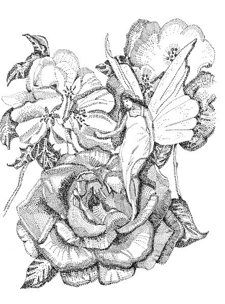 Flower Fairy