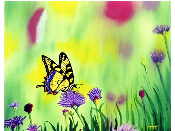 Tiger Swallowtail