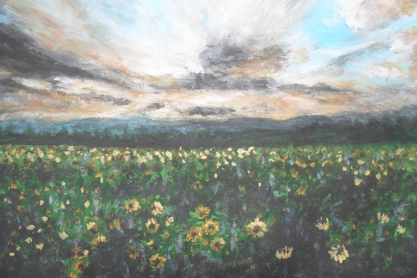 spring meadow