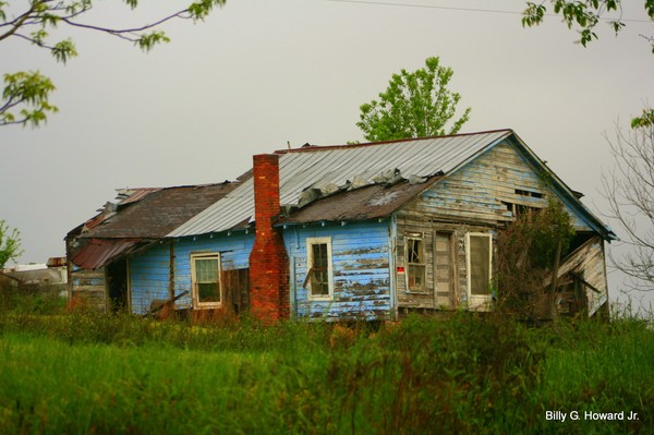 Old barns and horses