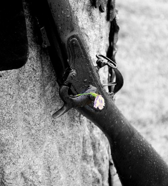 Civil War Rifle and Flower