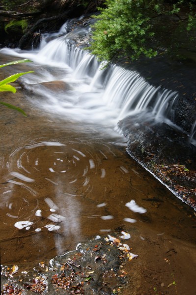 McGowans Falls Tasmania