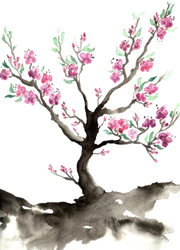 Sakura 