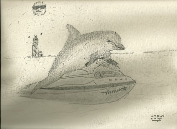 dolphin on jetski