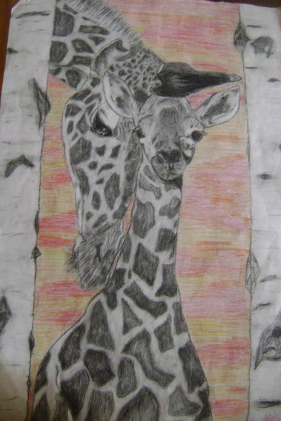 Giraffes love