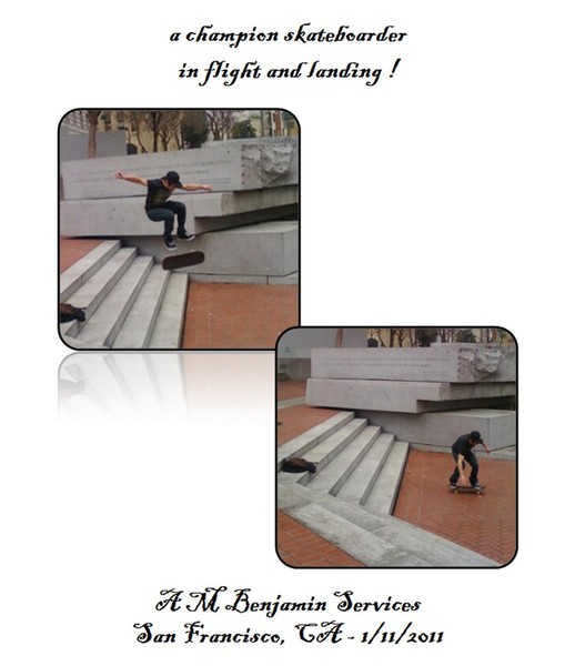 Champion in Flight 2