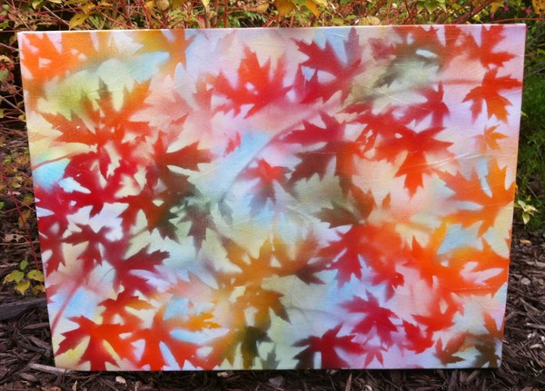 The Colors of Fall