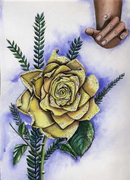 Fairy Rose