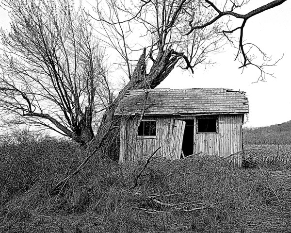 OUTHOUSE