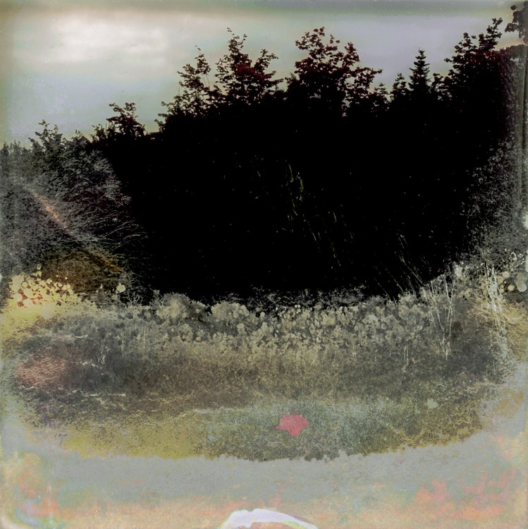 Amalgamated Fragmentation / Microbscape 16