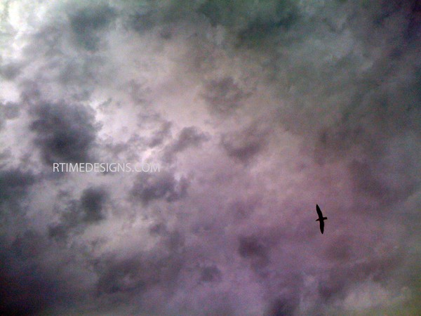 cloudy late afternoon4