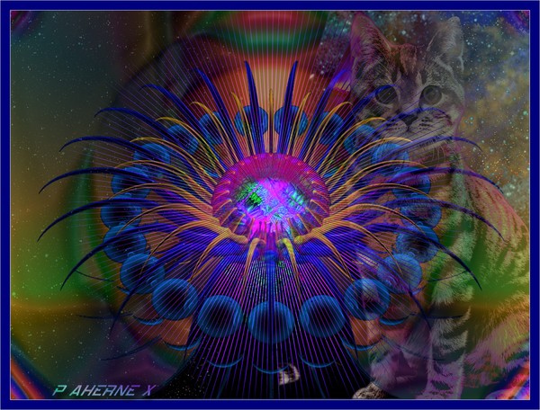 SpaceKat MoonFlower