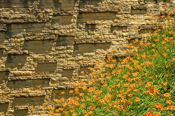 Lily Wall