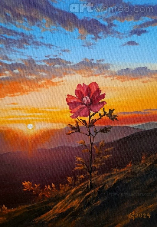 Silent Moment 