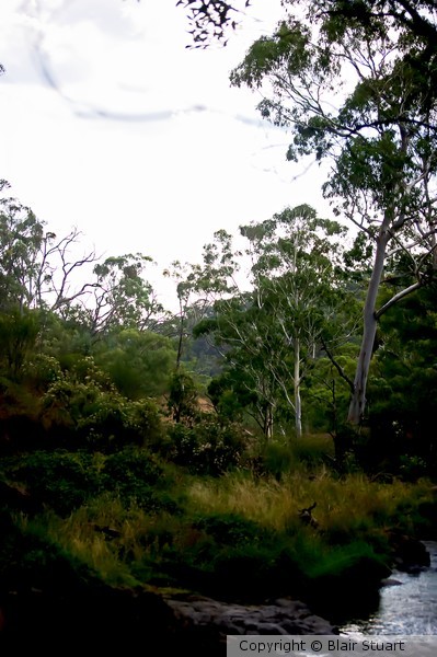 A Mystical Place