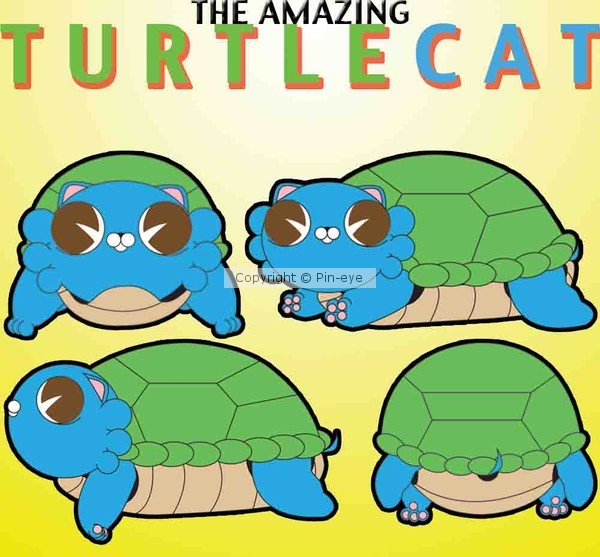 Turtlecat views