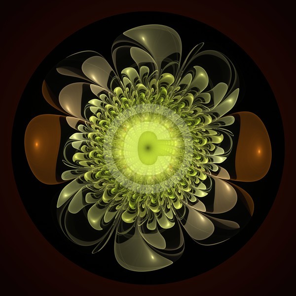 Electric Flower Abstract Fractal Design