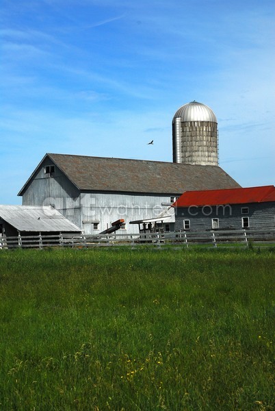 Saratoga County Farm I