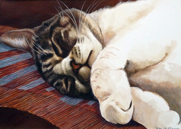 Cat's Life