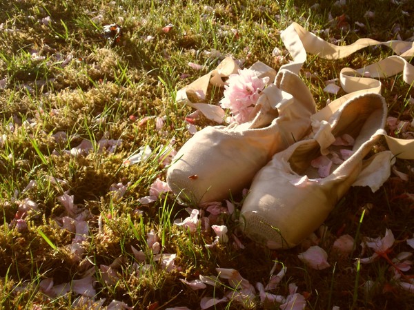 Ballet Shoes in Blossom