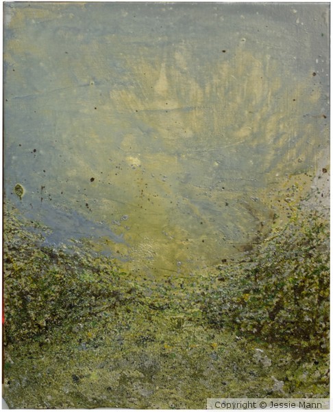 Spring11#8 16x20big