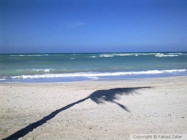 Beach at Sharjah.