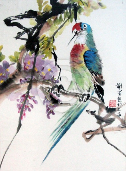 Parrot on Wisteria Tree