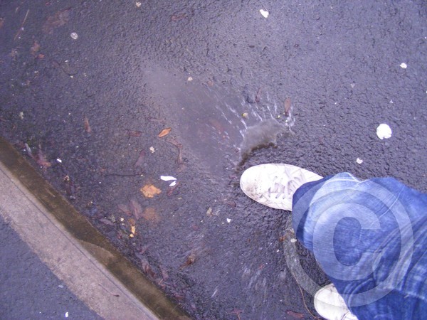 Stomping in the water