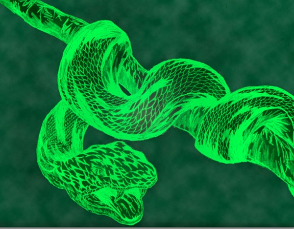 green jungle snake