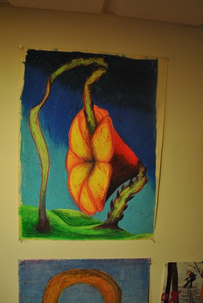 The Flower
