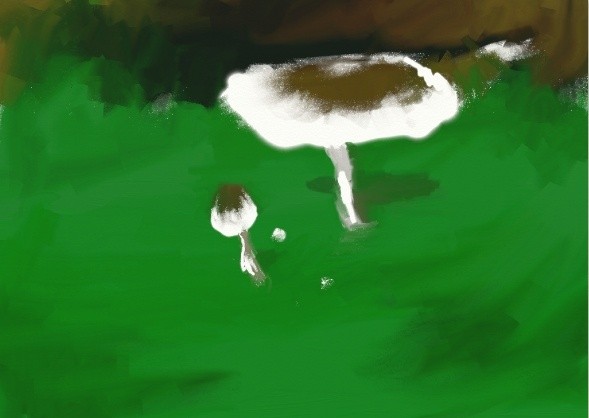 mushrooms 