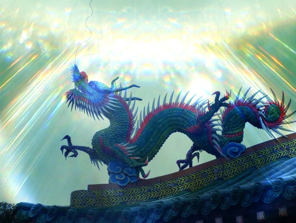 Dragon in the Light