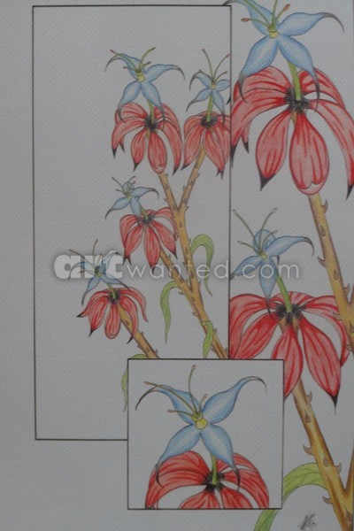 drawings1 009