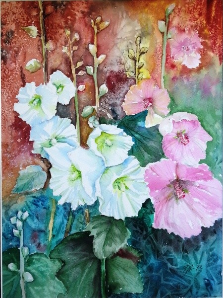 Hollyhocks