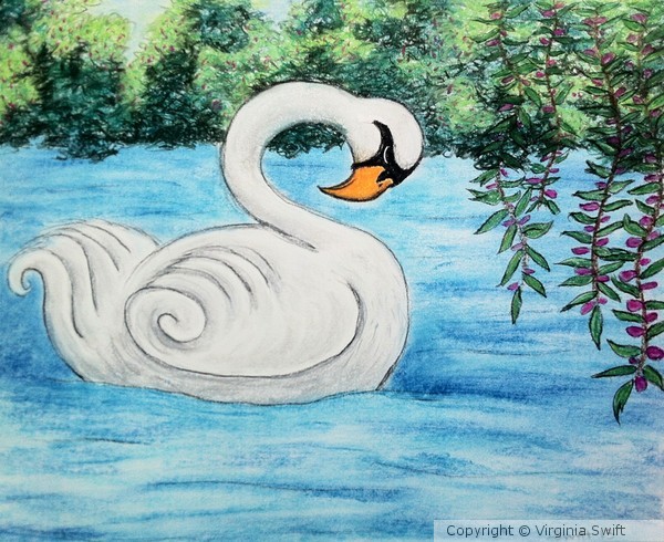 Solitary Swan
