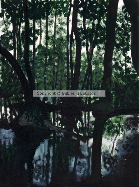 Wetland