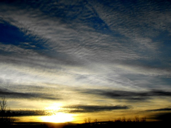 DSCF7522