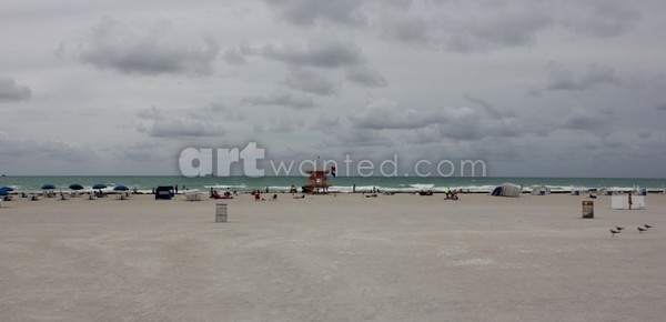 Four Gulls and Miami Beach