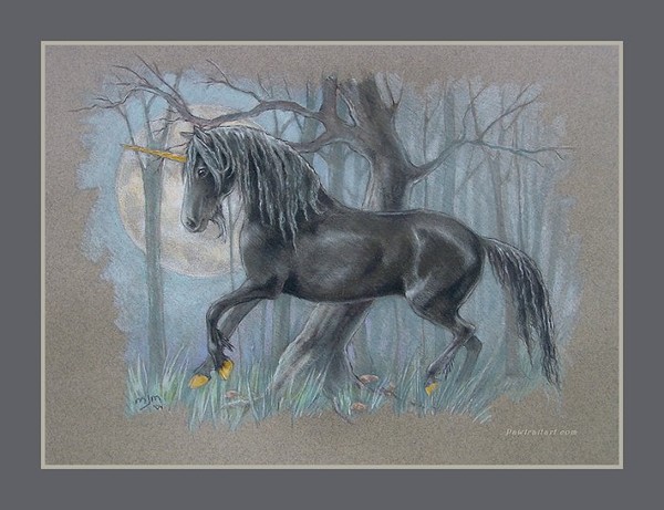 Black Unicorn