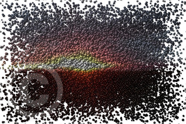 Molecule Rip