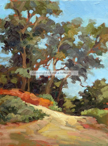 A Trail in Griffith Park