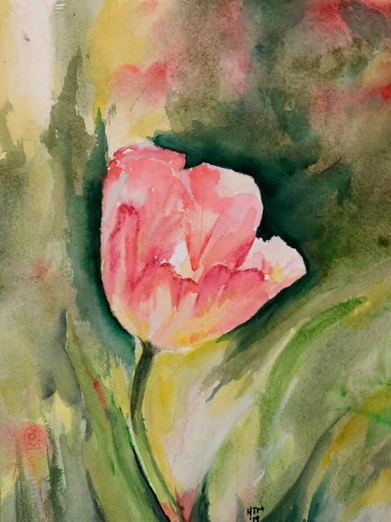 Lone Tulip